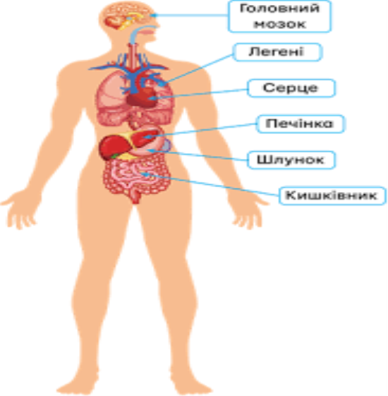 C:\Users\User\AppData\Local\Microsoft\Windows\Temporary Internet Files\Content.MSO\220C50A5.tmp